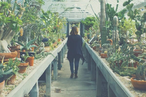 lost payroll check plants