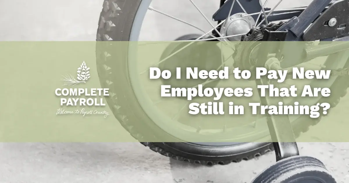 Do I Need to Pay New Employees That Are Still in Training?