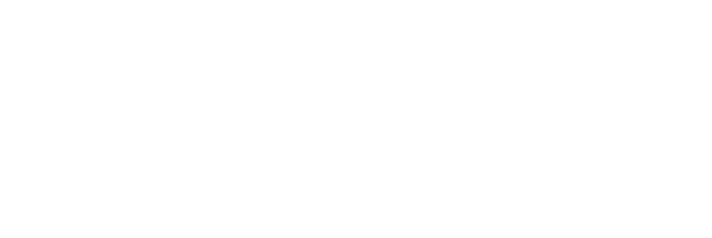 PeopleWork Logo_White_3x